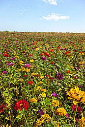 赛博朋克风新作《警戒2099》新宣传片 虚幻4打造